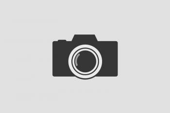 lorem ipsum dolor sit amet